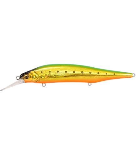Amazon.co.jp: メガバス(Megabass) X-80 MAGNUM+1 GC レッドヘッド